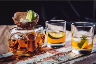 适量饮酒，是养生良方还是健康陷阱？——从“啤酒加枸杞”看酒精饮料的双面性